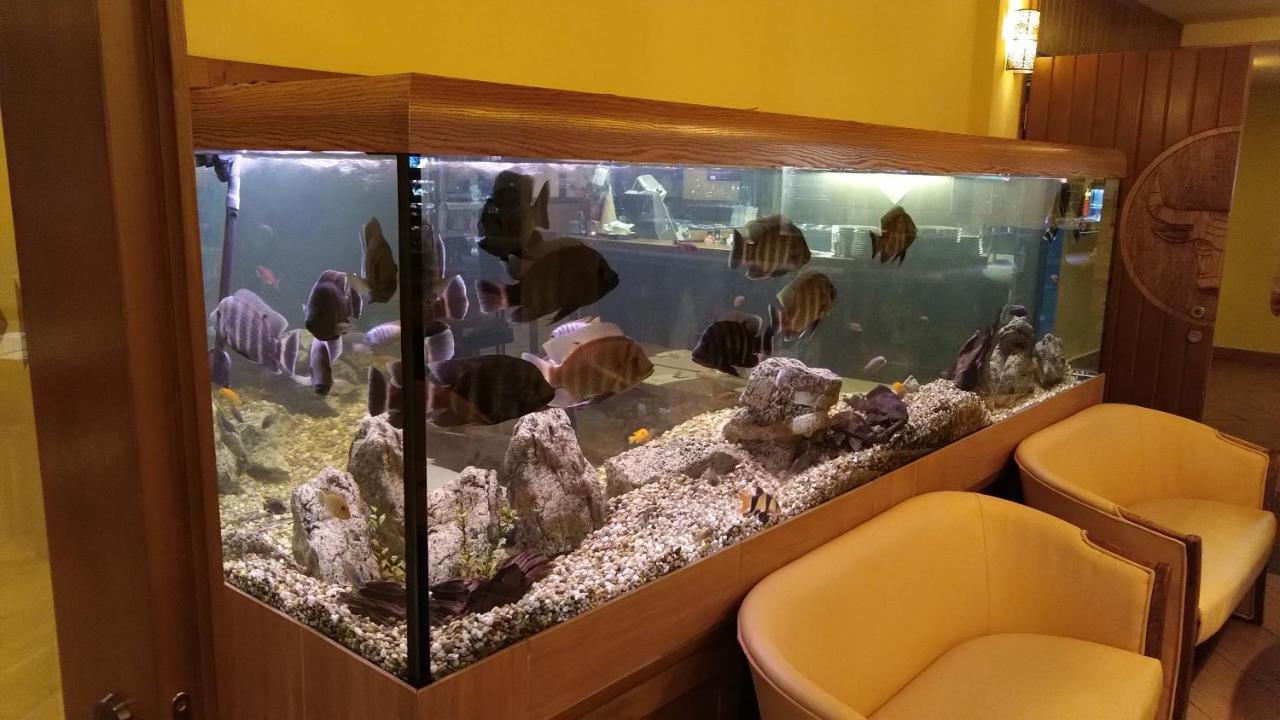 Chata 412 Tatralandia Liptovský Mikuláš Buitenkant foto